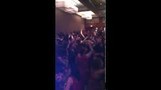 Audiomatic performs "Wake Me Up" at Corporate Event