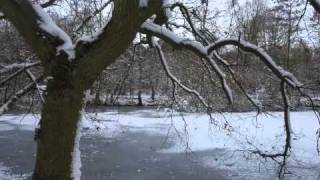 Watch Stina Nordenstam Winter Killing video