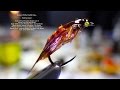 Tying the Sunburst McPhail Caddis Pupa by Davie McPhail Tying the Sunburst McPhail Caddis Pupa by Davie McPhail
