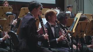 Liz And The Blue Bird Recinta In Concert Hibike Euphonium
