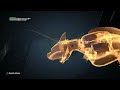 BATMAN: ARKHAM CITY #022 - Bürgermeister Quincy Sharp [HD+] | Let's Play Batman: Arkham City