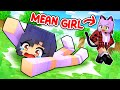 HURT By The MEAN GIRLS In Minecraft!