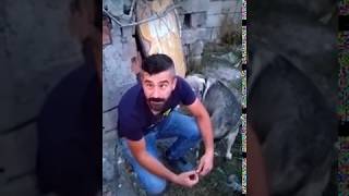 Memet Abi