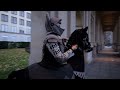 Ein Leichtes Schwert Video preview