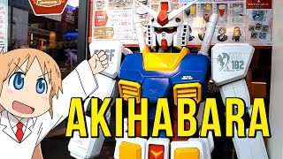Akihabara - The Electric Town & Otaku District of Japan!