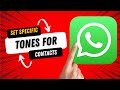 How to Give a Specific Contact a Different Notification Sound on WhatsApp