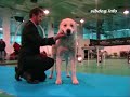 Немає описів. 