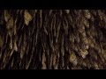 Ranker Video