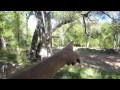 UPGRADED AT LO LO MAI SPRINGS (10.24.14 - Day 938)