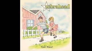 Watch Zebrahead This Is Gonna Hurt You Way More Than Its Gonna Hurt Me video