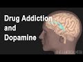 Mechanism of Drug Addiction in the Brain, Animation.