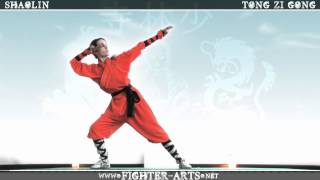 Shaolin Tong Zi Gong Shaolin Tong Zi Gong