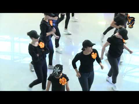 "Танцуй, школа!": МОУ СОШ № 20