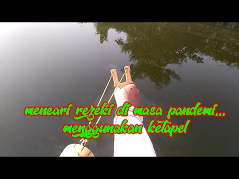Main Ketapel Ikan Di Masa Pandemi PPKM Darurat