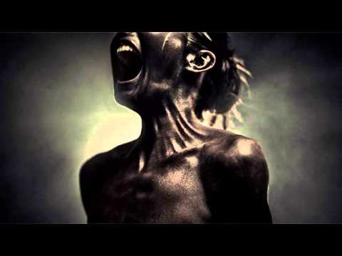 The Unknown Video