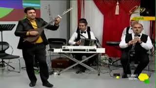 Gunay Mutellimova Nar Agacı