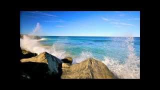 Watch Celine Dion For You video
