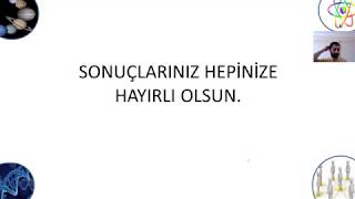 Lgs Bitti, Şimdi Ne Olacak? Okul Dayalı