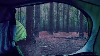 Rain on Tent ASMR Ambience