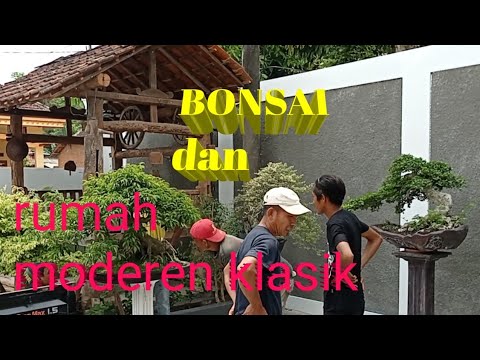 perpaduan Bonsai rumah modern dan klasik desain mas bregas