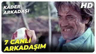 Kader Arkadaşı - Hasan Ve Yusuf Koğuş Hikayesi Cüneyt Arkın Eski Türk Filmi