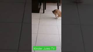 Bond Moves