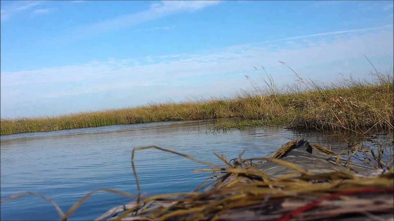 Kayak Duck Hunting - YouTube