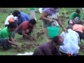 "Sein Yaung So", Environmental Group in Mandalay Plants Trees