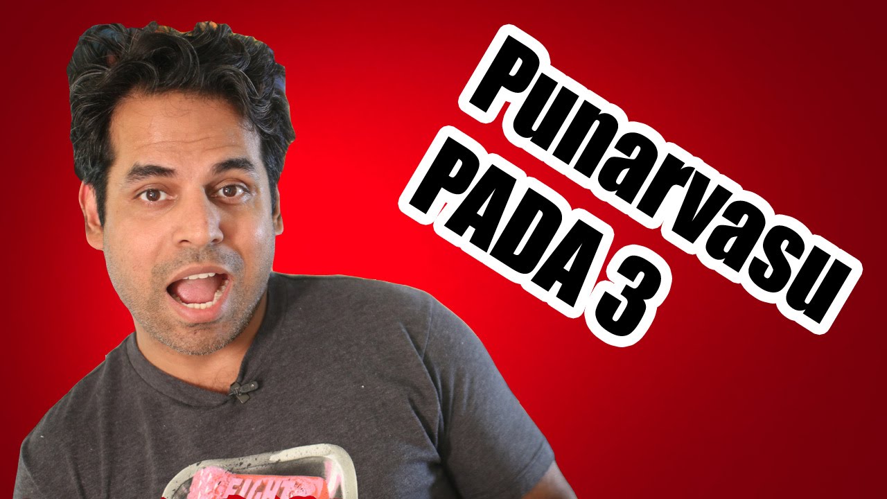 Indian vedic astrology pt punarvasu astrology