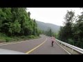 electric bike - leaf 1000w ebike conversion kit