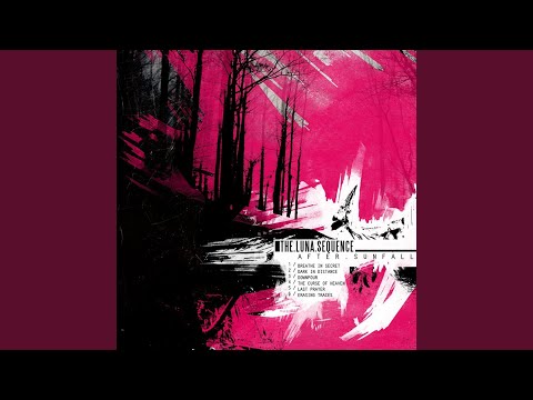 Dark in Distance Video