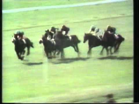 Ranker Video