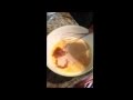 Dominican Coquito
