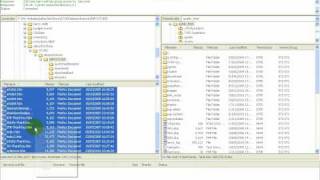 Part 9 of The Newbies Guide: Uploading Your Website With Filezilla FTP