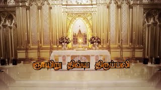 SUNDAY MASS TAMIL - LIVE - 2020 05 24