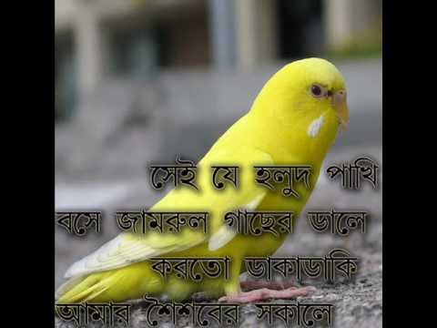 SEI JE HOLUD PAKHI _ BANGLA BAND -CACTUS.wmv