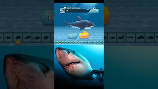 Hungry Shark Evolution
