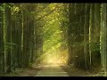 A Gift of Life by Talib al-habib