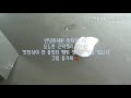 곤약젤리팸미션- 첫인상 안 좋았던 팸원 철아따/액괴