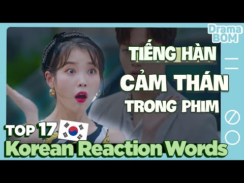 "Certified KDramaholic" Level 3: Korean Slangs & Phrases for REACTION | Dramaholic's Dictionary Ep.3