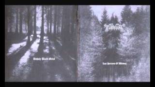 Watch Evilfeast Grim Spirit The Forest Wanderer video