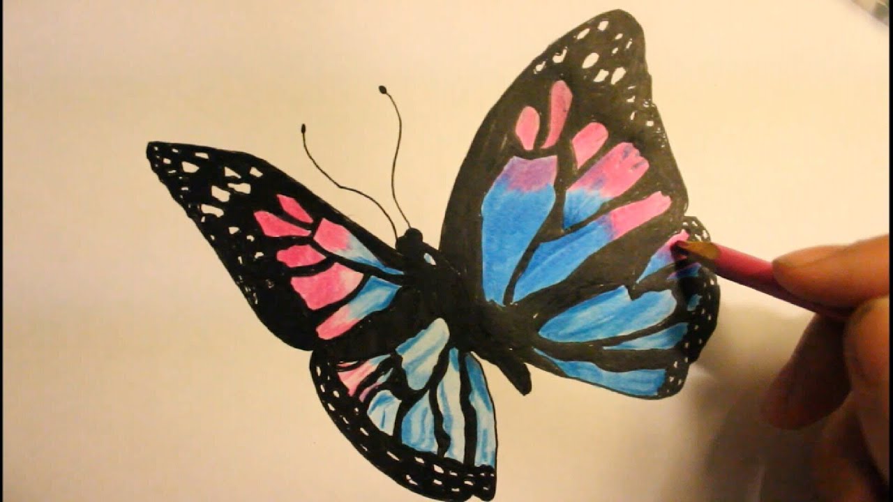 How to Draw a Butterfly|Easy|Step By Step|Wings|With ...
