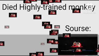Dead Highly-Trained Monkey Something Went Wrong Island On Scratch On Kinemaster On Youtube All The T