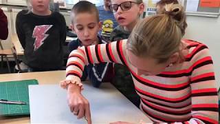 Groep 5C