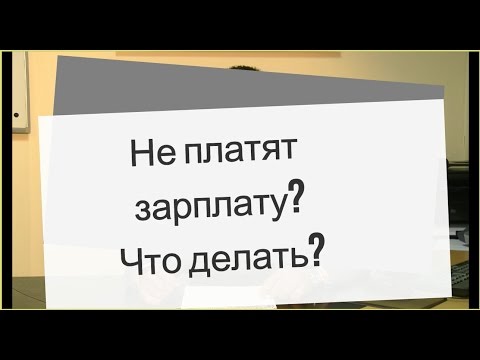 Что делать если не выплатили 13 зарплату