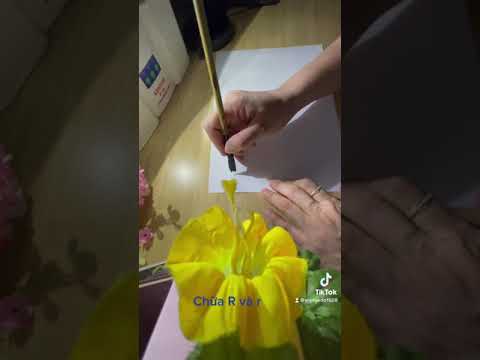 Thư pháp chữ R