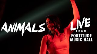 Sheppard - Animals (Live From Fortitude Music Hall)