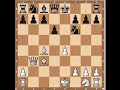 chess openings