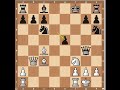 chess openings