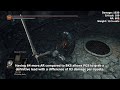 Truth About Hornet Ring Or Search For Best Riposte Backstab Truth About Hornet Ring Or Search For Best Riposte Backstab
